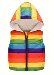 Rainbow Puffer Hoodie